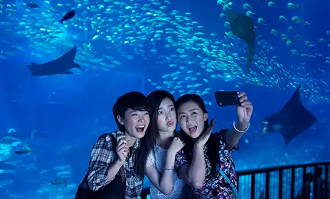 Exploring Beach Waves Kochi